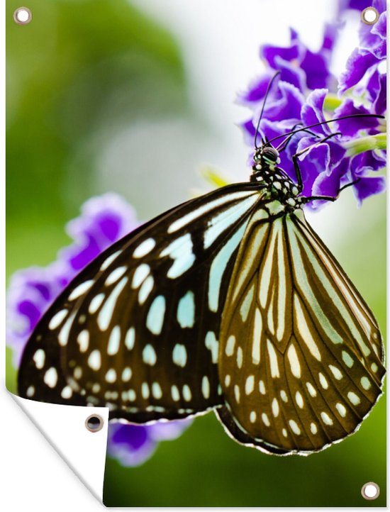 Tuinposter - Vlinders - Lavendel - Bloemen - Lente - Tuinschilderij - 90x120 cm - Tuindoek