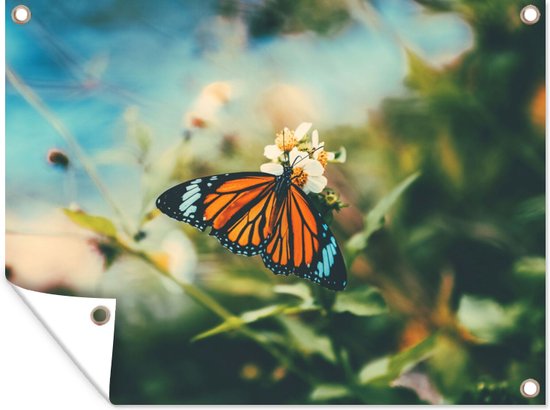 Tuinposter - Vlinder - Bloemen - Wit - Zon - Lente - Tuindoeken voor buiten - 40x30 cm - Tuindoek