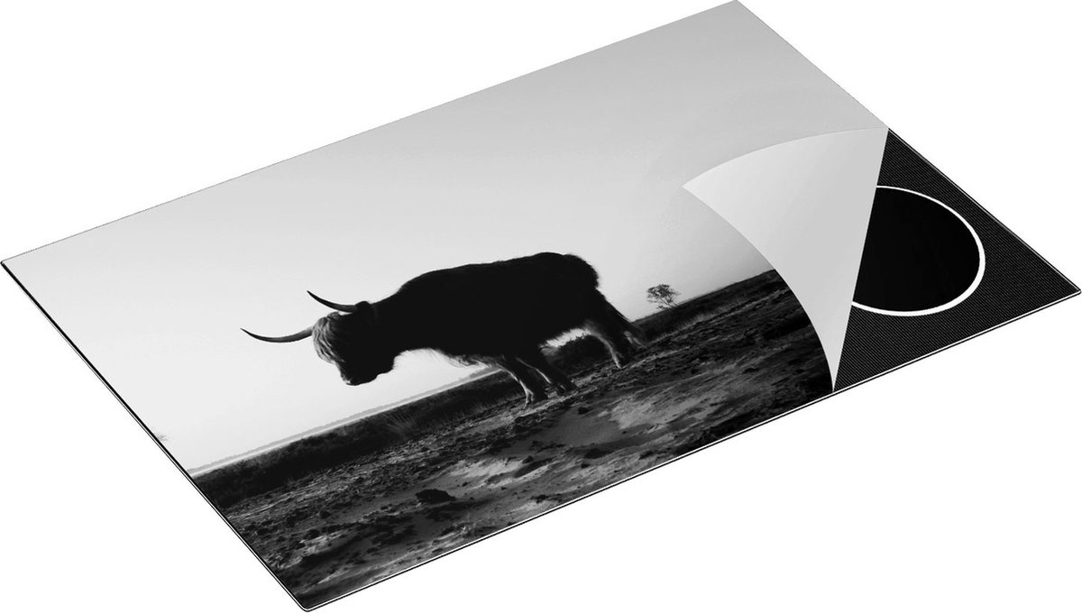 Chefcare Inductie Beschermer Twee Schotse Hooglanders op het Strand - Zwart Wit - 81x52 cm - Afdekplaat Inductie - Kookplaat Beschermer - Inductie Mat
