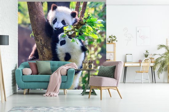 Papier peint - Papier peint photo Pandas - Arbre - Nature - Largeur 300 cm x hauteur 300 cm