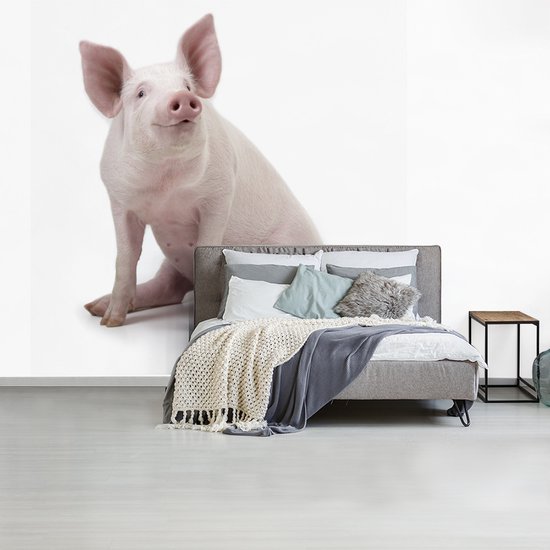 Papier peint photo peint photo vinyle - Porcinet pour fond blanc largeur 240 cm x hauteur 240 cm - Tirage photo sur papier peint (disponible en 7 tailles)