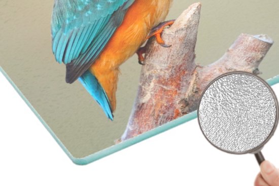 Planche à découper en Verres - 39x28 - Vogel - Martin-pêcheur - Branche - Planches à découper en Glas