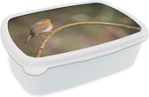 Broodtrommel Wit - Lunchbox - Brooddoos - Roodborstje - Vogel - Natuur - 18x12x6 cm - Volwassenen