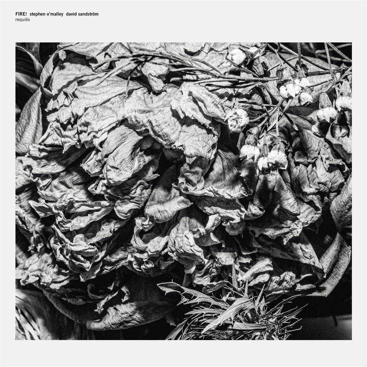 Fire! & Stephen O'Malley & David Sandstrom - Requires (One-Sided Mini-Album) (LP) (Limited Edition)