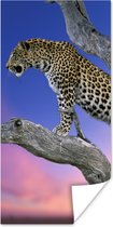 Poster Luipaard - Boom - Tak - 80x160 cm