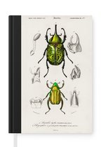 Notitieboek - Schrijfboek - Kever - Vintage - Insecten - Notitieboekje klein - A5 formaat - Schrijfblok