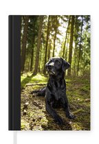 Notitieboek - Schrijfboek - Zonnestralen langs een Labrador Retriever in het bos - Notitieboekje klein - A5 formaat - Schrijfblok