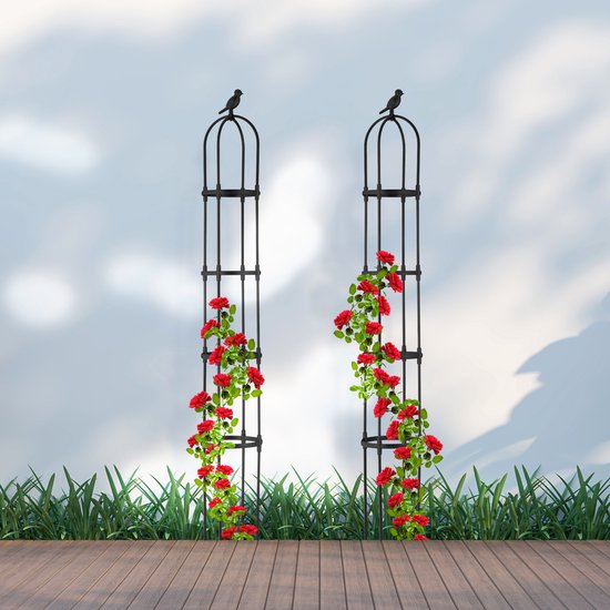 Nature Plantensteun Set 4 Ringen En 3 Steunen
