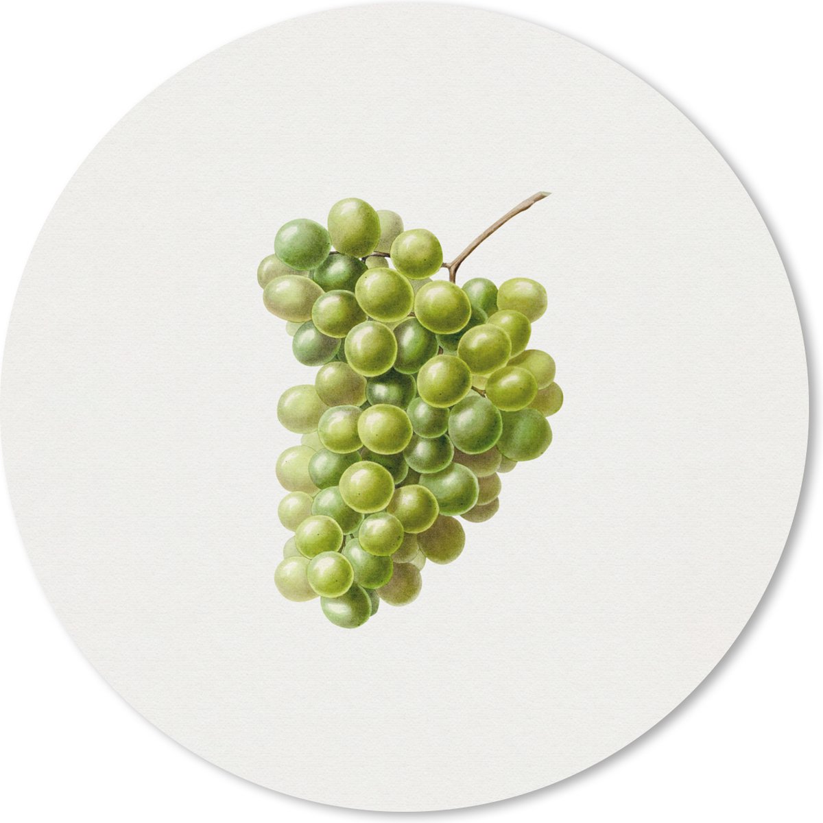 Muismat rond 20x20 cm - Mousepad Druiven - Fruit - Groen - Ronde muismatten