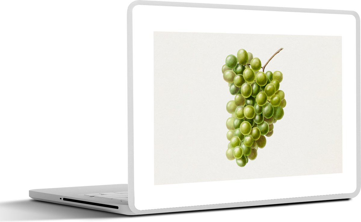 Laptop sticker - 17.3 inch - Eten - Druiven - Fruit - 40x30cm - Laptopstickers - Laptop skin - Cover