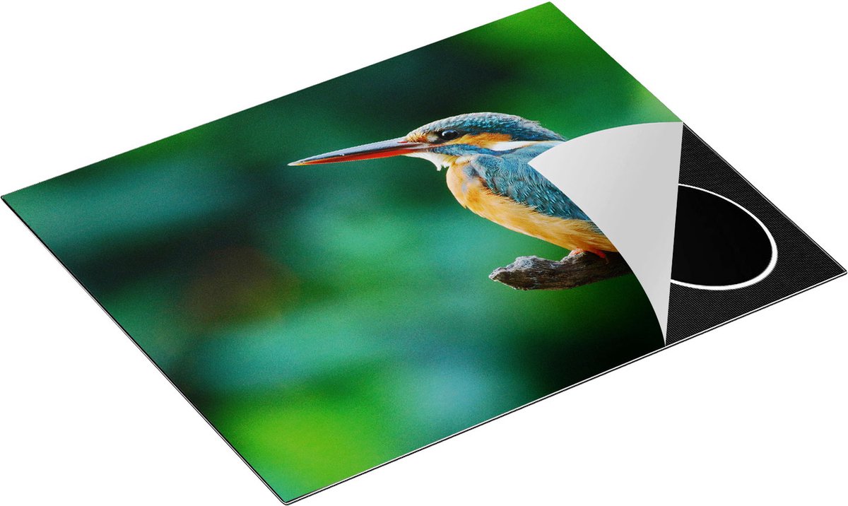 Chefcare Inductie Beschermer Blauw Oranje IJsvogel op een Tak - 65x50 cm - Afdekplaat Inductie - Kookplaat Beschermer - Inductie Mat