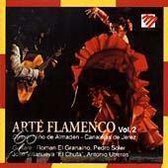 Arte Flamenco Vol. 2