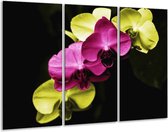 Peinture sur toile Orchidée | Rose, vert, noir | 120x80cm 3 Liège