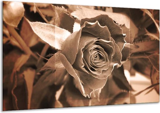 Schilderij Op Canvas Roos - Sepia, Bruin - 120x70cm 1Luik - Foto Op Canvas - GroepArt 6000+ Schilderijen 0p Canvas Art Collectie - Wanddecoratie - Woonkamer - Slaapkamer - Canvas Print