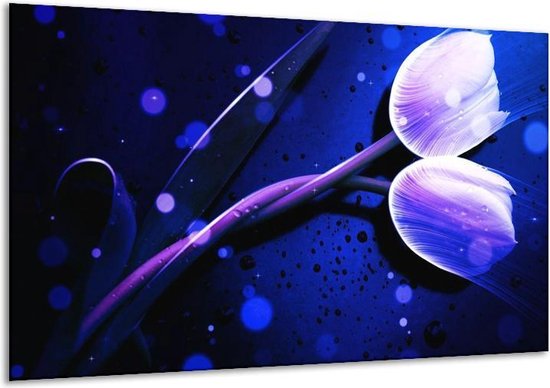 Glasschilderij Tulp | Blauw, Paars, Wit | | Foto print op Glas |  F005014