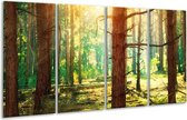 Peinture sur verre Nature | Vert, jaune, marron | 160x80cm 4 Liège | Tirage photo sur verre |  F006118
