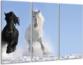 Glasschilderij Paard, Dieren - Blauw, Zwart, Wit - 120x80cm 3Luik - Foto Op Glas - Geen Acrylglas Schilderij - GroepArt 6000+ Glas Art Collectie - Maatwerk Mogelijk