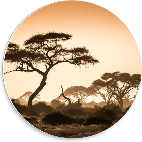 Forex Wandcirkel - Afrikaanse Bomen onder Oranje Lucht - 30x30cm Foto op Wandcirkel (met ophangsysteem)