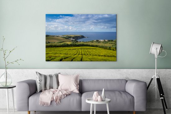 Cadre photo - Une vaste plantation de thé au large des Açores Cadre photo  120x80 cm 