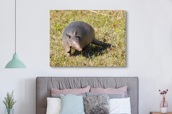 Toile de tatou dans l'herbe 2cm 160x120 cm - Tirage photo sur toile (Décoration murale salon / chambre) / Animaux sauvages Peintures sur toile XXL / Groot format!