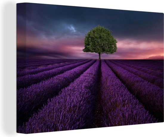 Canvas Schilderij Lavendel - Boom - Paars - 30x20 cm - Wanddecoratie |  bol.com