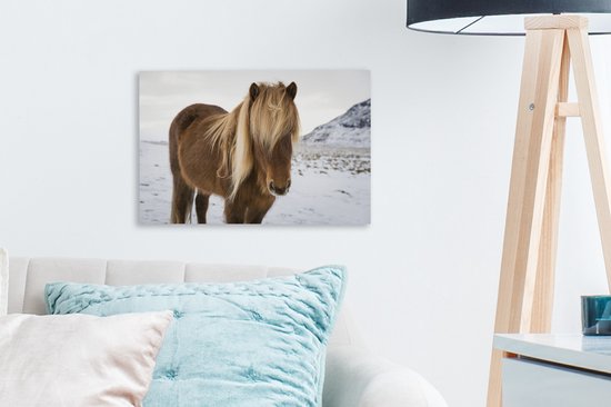 Portrait d'un cheval islandais curieux 30x20 cm - petit - Tirage photo sur toile (Décoration murale salon / chambre) / animaux sauvages Peintures sur toile