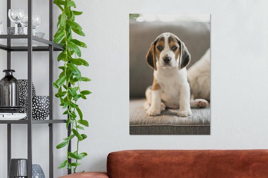 Mignon chiot Beagle assis sur le canapé Toile 40x60 cm - Tirage photo sur toile (Décoration murale salon / chambre) / Peintures sur toile pour Animaux domestiques