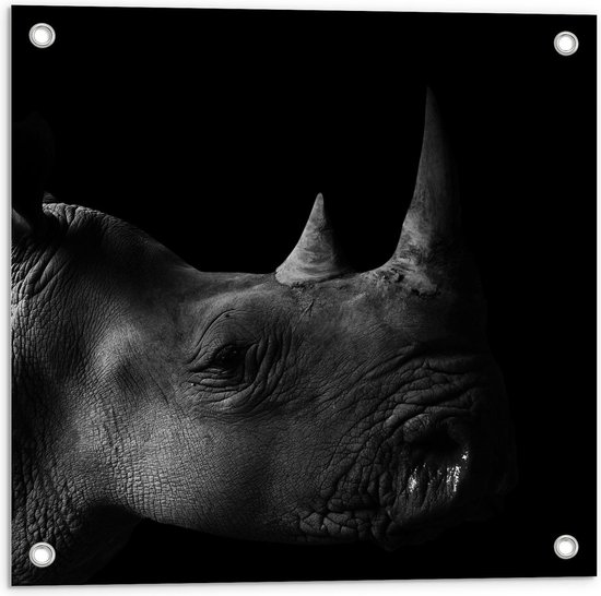Tuinposter – Zijaanzicht van Hoofd van Neushoorn (zwart/wit) - 50x50cm Foto op Tuinposter  (wanddecoratie voor buiten en binnen)