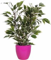 Groen/witte ficus kunstplant 40 cm met plantenpot fuchsia roze D13.5 en H12.5 cm