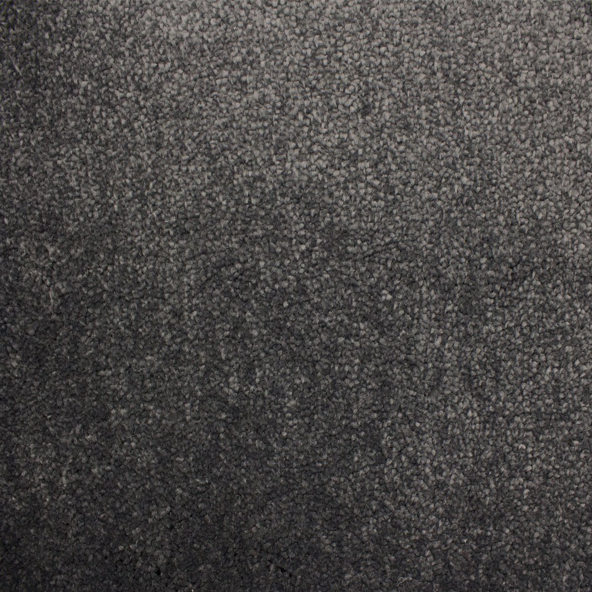 Vloerkleed Xilento Soft Basalt | 170 x 230 cm