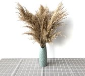 Gedroogd EXTRA FLUFFY Pampa Gras Decoratie voor binnenhuis -  - 10pcs raw blue vase