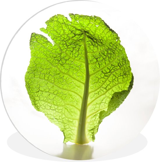 WallCircle - Wandcirkel ⌀ 60 - Doorzichtige sla tegen een witte achtergrond - Ronde schilderijen woonkamer - Wandbord rond - Muurdecoratie cirkel - Kamer decoratie binnen - Wanddecoratie muurcirkel - Woonaccessoires