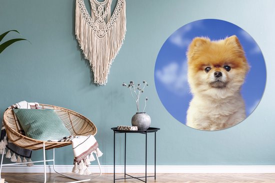 Autocollant de papier peint de cercle de mur de Puppy de près wallpaper 120 cm / cercle de papier peint / cercle de mur / cercle vivant - autocollant et coupe ronde