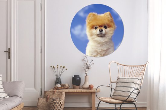 Autocollant de papier peint de cercle de mur de Puppy de près wallpaper 120 cm / cercle de papier peint / cercle de mur / cercle vivant - autocollant et coupe ronde