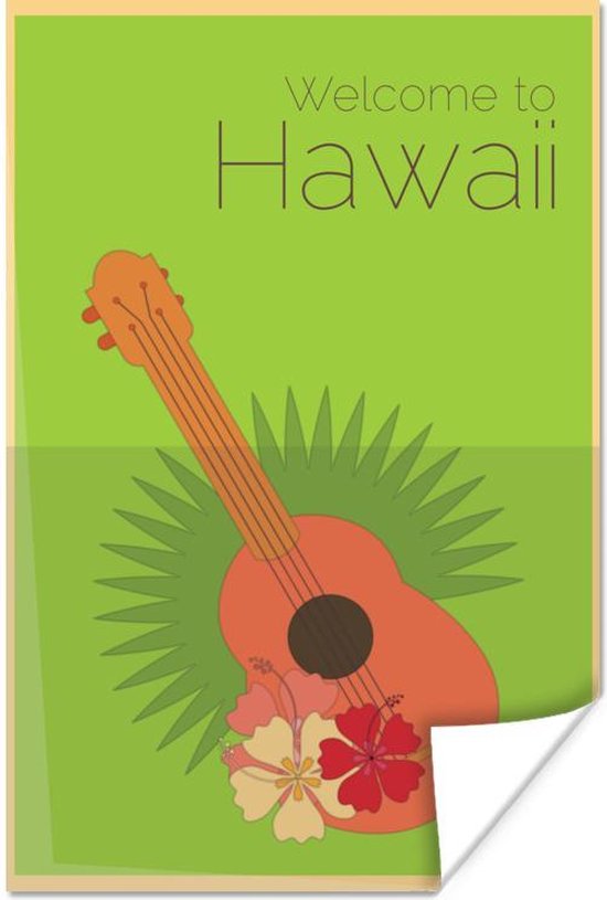 Welcome to Hawaii' sur fond vert avec une guitare 20x30 cm - petite |  bol.com