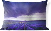 Coussins d'extérieur - Jardin - Nuages violets sur champs de lavande - 50x30 cm
