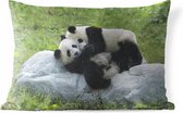Buitenkussens - Tuin - Twee grote pandas op een steen - 60x40 cm