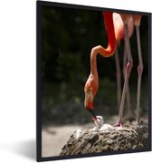 Fotolijst incl. Poster - Flamingo die haar kuiken voert - 30x40 cm - Posterlijst