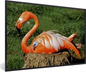 Fotolijst incl. Poster - Flamingo die haar kuiken onder haar vleugel beschermd - 90x60 cm - Posterlijst