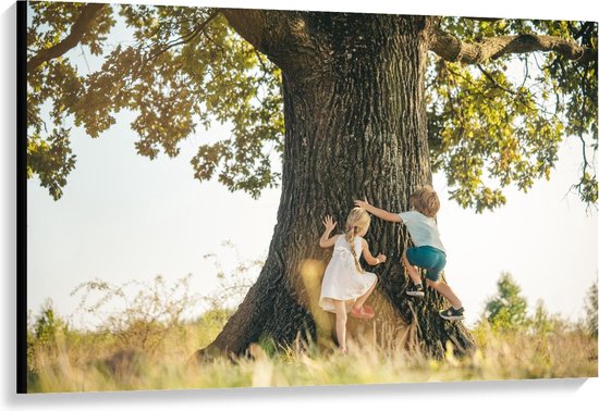 Canvas  - Kinderen Klimmend in Oude Boom - 120x80cm Foto op Canvas Schilderij (Wanddecoratie op Canvas)