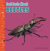 Fast Facts About Bugs & Spiders - Fast Facts About Beetles