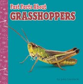 Fast Facts About Bugs & Spiders - Fast Facts About Grasshoppers