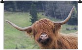 Tenture murale - Tissu mural - Scottish Highlander - Portrait - Nature - 180x120 cm - Tapisserie