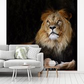 Behang - Fotobehang Leeuw - Zwart - Wilde dieren - Breedte 220 cm x hoogte 220 cm