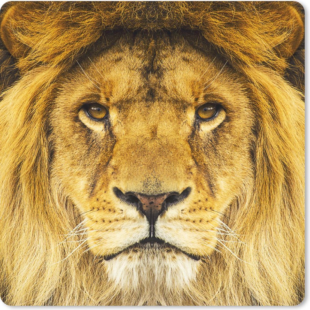Muismat 30x30 cm - Mousepad Leeuw - Portret - Bruin - Muismatten