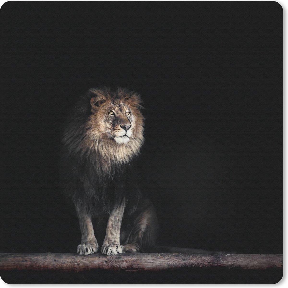 Muismat 30x30 cm - Mousepad Leeuw - Licht - Portret - Muismatten