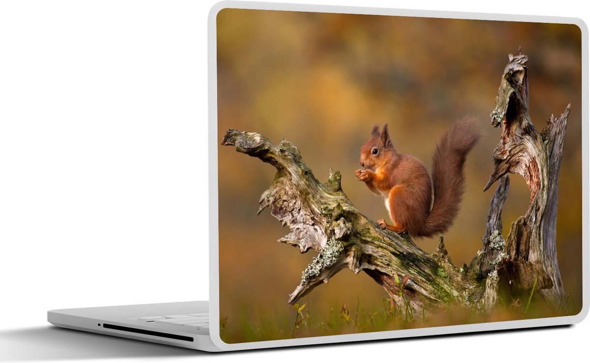 Laptop sticker - 14 inch - Eekhoorn - Boomstam - Bos - 32x5x23x5cm - Laptopstickers - Laptop skin - Cover