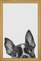 JUNIQE - Poster met houten lijst French Bulldog II -20x30 /Grijs &