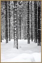 JUNIQE - Poster met kunststof lijst Deep Dark White Forest -20x30