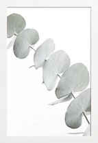 JUNIQE - Poster in houten lijst Eucalyptus White 3 -30x45 /Groen & Wit